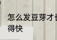 怎么发豆芽才长得快 如何发豆芽才长得快
