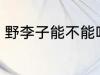 野李子能不能吃 野李子可不可以吃呢