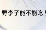 野李子能不能吃 野李子可不可以吃呢