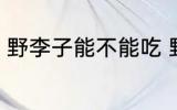 野李子能不能吃 野李子可不可以吃呢