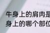 牛身上的肩肉是哪个部位 牛肩肉是牛身上的哪个部位