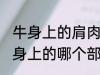 牛身上的肩肉是哪个部位 牛肩肉是牛身上的哪个部位