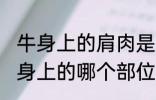 牛身上的肩肉是哪个部位 牛肩肉是牛身上的哪个部位