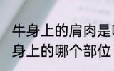 牛身上的肩肉是哪个部位 牛肩肉是牛身上的哪个部位