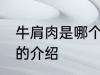 牛肩肉是哪个部位怎么吃较好 牛肩肉的介绍