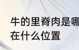 牛的里脊肉是哪个部位 牛的里脊肉是在什么位置