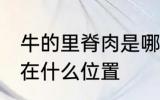 牛的里脊肉是哪个部位 牛的里脊肉是在什么位置