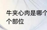 牛夹心肉是哪个部位的 牛夹心肉在哪个部位
