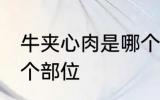 牛夹心肉是哪个部位的 牛夹心肉在哪个部位