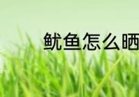 鱿鱼怎么晒干 鱿鱼怎样晒干