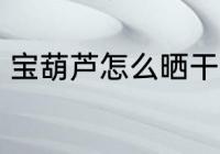 宝葫芦怎么晒干 宝葫芦需要怎么晒干