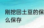刚挖回土豆的保存方法 刚挖回土豆怎么保存