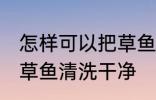 怎样可以把草鱼清洗干净 如何可以把草鱼清洗干净