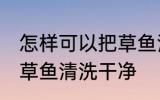 怎样可以把草鱼清洗干净 如何可以把草鱼清洗干净