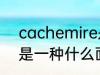 cachemire是什么面料 cachemire是一种什么面料