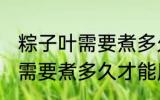 粽子叶需要煮多久才能用 粽子叶具体需要煮多久才能用