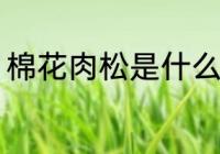 棉花肉松是什么做的 棉花肉松的制作