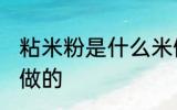 粘米粉是什么米做的 粘米粉是哪些米做的