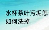 水杯茶叶污垢怎么洗掉 水杯茶叶污垢如何洗掉