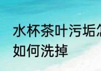 水杯茶叶污垢怎么洗掉 水杯茶叶污垢如何洗掉