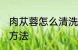 肉苁蓉怎么清洗比较好 肉苁蓉的清洁方法