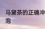 马黛茶的正确冲泡方法 马黛茶如何冲泡