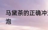 马黛茶的正确冲泡方法 马黛茶如何冲泡