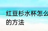 红豆杉水杯怎么防裂 红豆杉水杯保养的方法