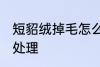 短貂绒掉毛怎么处理 短貂绒掉毛如何处理