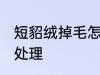 短貂绒掉毛怎么处理 短貂绒掉毛如何处理
