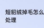 短貂绒掉毛怎么处理 短貂绒掉毛如何处理