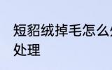 短貂绒掉毛怎么处理 短貂绒掉毛如何处理