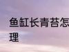 鱼缸长青苔怎么办 鱼缸有青苔怎么处理