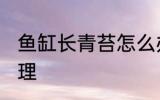 鱼缸长青苔怎么办 鱼缸有青苔怎么处理