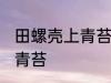 田螺壳上青苔怎么去除 如何去除田螺青苔