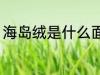 海岛绒是什么面料 海岛绒的面料解说