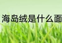海岛绒是什么面料 海岛绒的面料解说