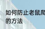如何防止老鼠爬水管 防止老鼠爬水管的方法