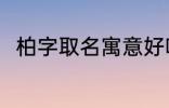 柏字取名寓意好吗 柏字取名的寓意