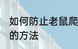 如何防止老鼠爬水管 防止老鼠爬水管的方法