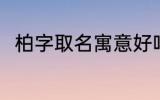 柏字取名寓意好吗 柏字取名的寓意