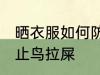 晒衣服如何防止鸟拉屎 晒衣服怎么防止鸟拉屎