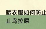 晒衣服如何防止鸟拉屎 晒衣服怎么防止鸟拉屎