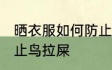 晒衣服如何防止鸟拉屎 晒衣服怎么防止鸟拉屎