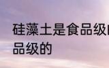 硅藻土是食品级的吗 硅藻土是否是食品级的