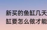 新买的鱼缸几天后可以放鱼 新买的鱼缸要怎么做才能放鱼