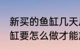 新买的鱼缸几天后可以放鱼 新买的鱼缸要怎么做才能放鱼