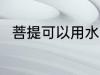 菩提可以用水洗吗 菩提能用水洗吗