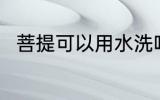 菩提可以用水洗吗 菩提能用水洗吗