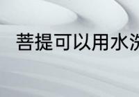菩提可以用水洗吗 菩提能用水洗吗